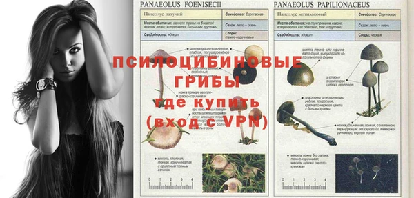 крисы Балахна