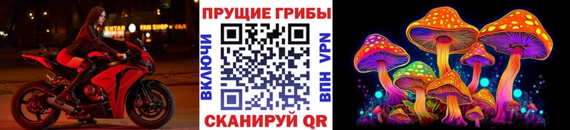 купить  цена  Буй  гидра ссылки  Галлюциногенные грибы GOLDEN TEACHER 